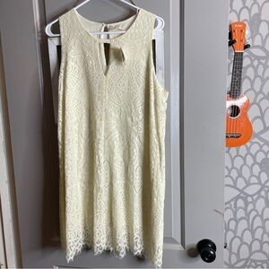 NWT Altar’d State Size M Cream Lace Dress Sleeveless Short Shift Fully Lined